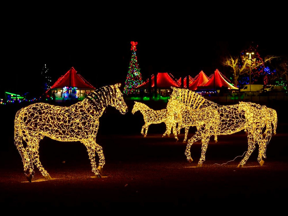 Сибиу — 3 фигуры