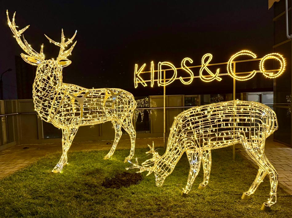 Интерьерное оформление KIDSCo