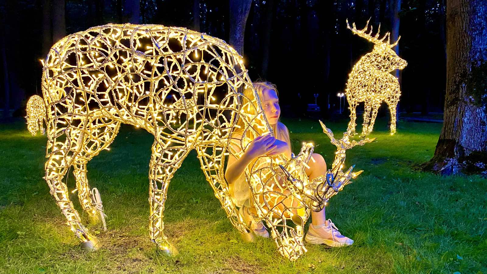 Олени — Брашов