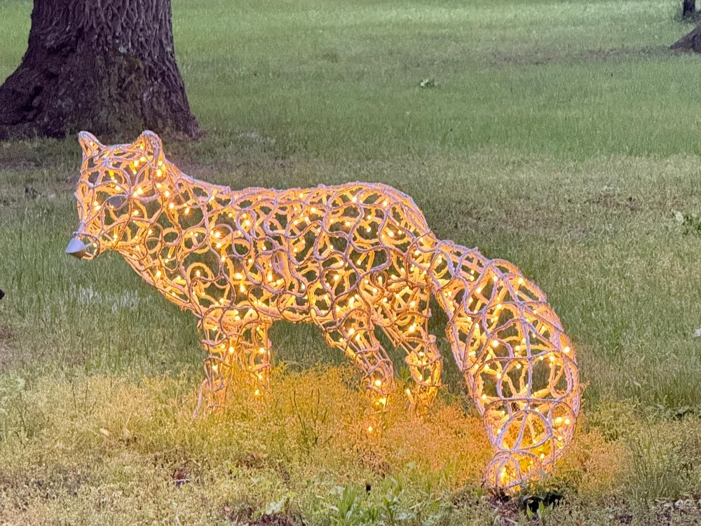 Figuri de animale LED — vedere 19