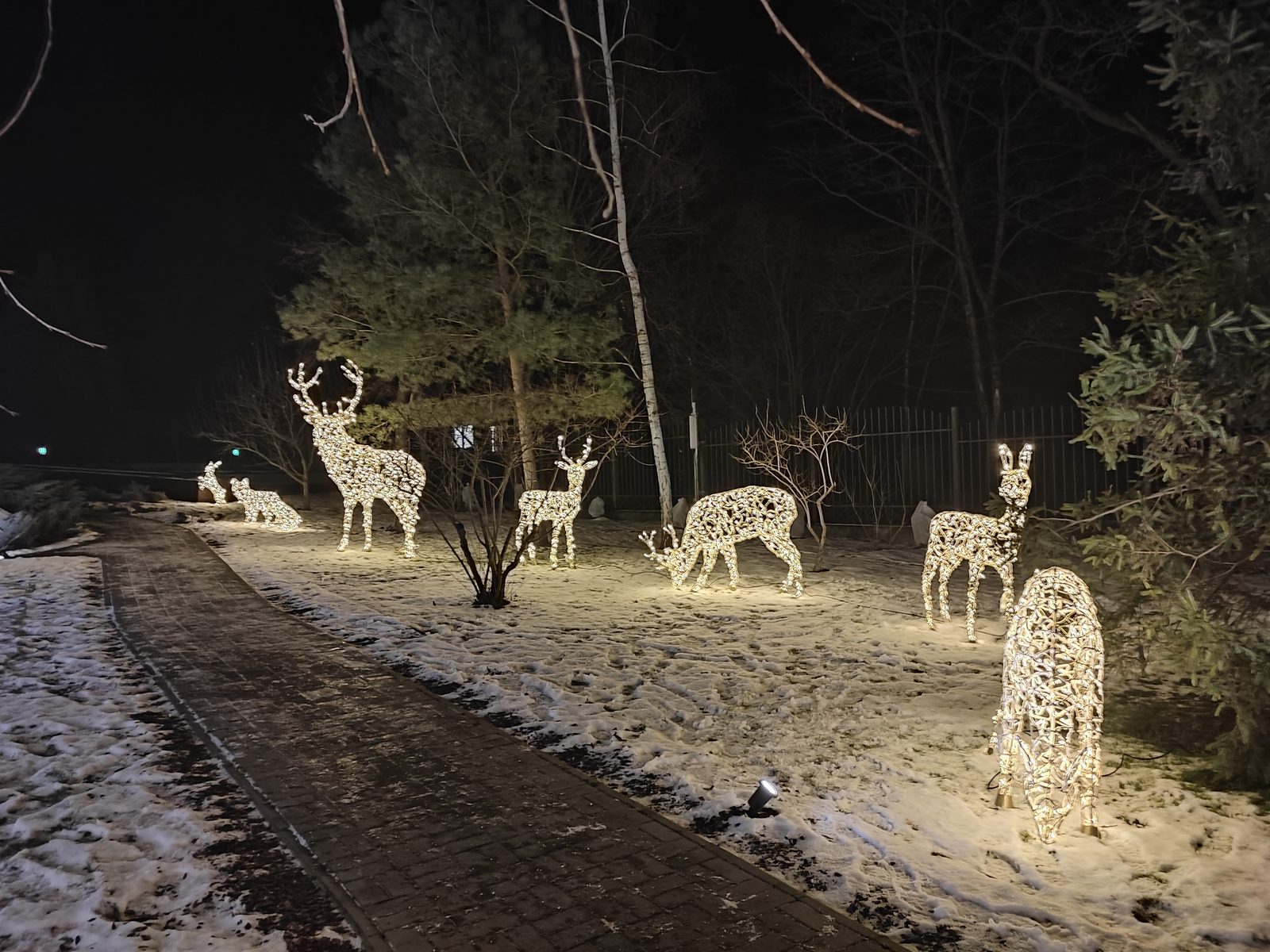 Figuri de animale LED — vedere 8