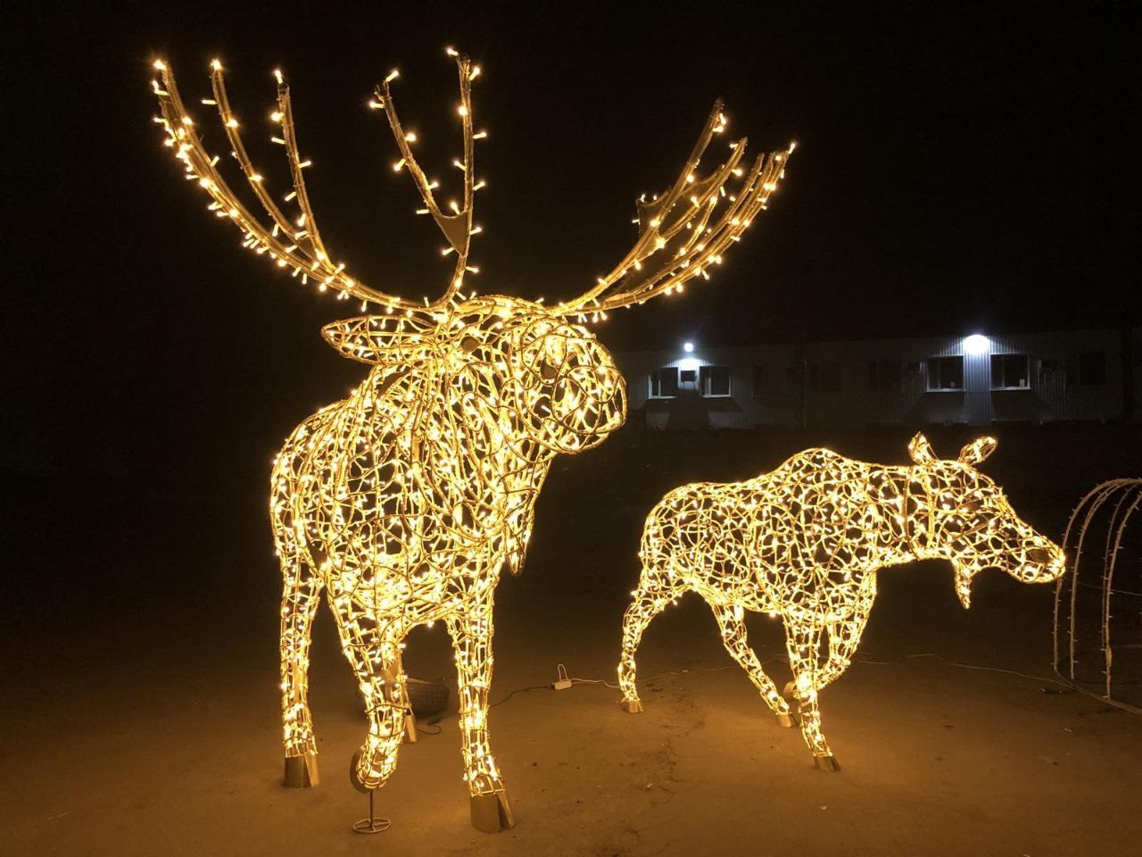 Figuri de animale LED — vedere 9