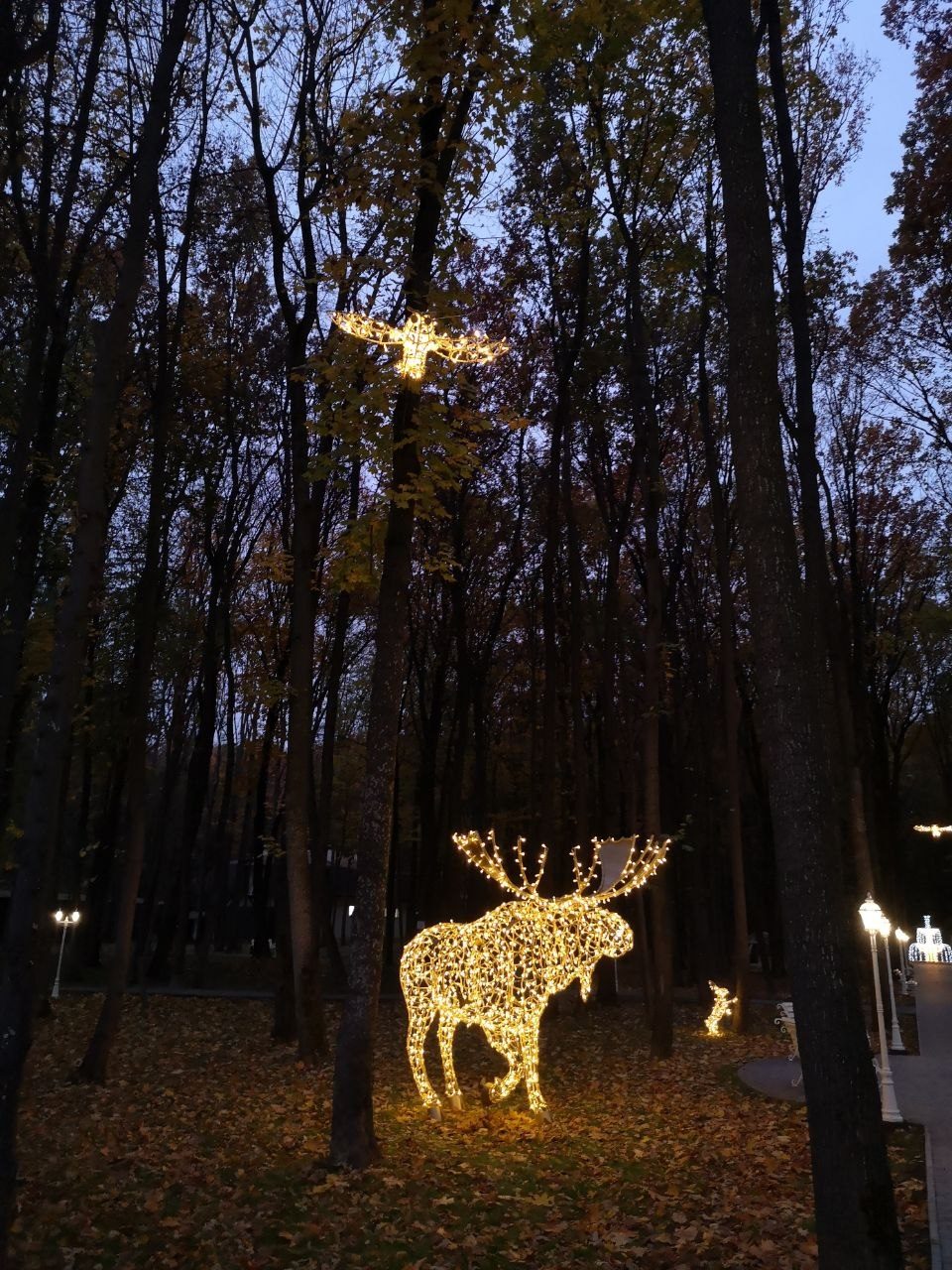 Figuri de animale LED — vedere 11