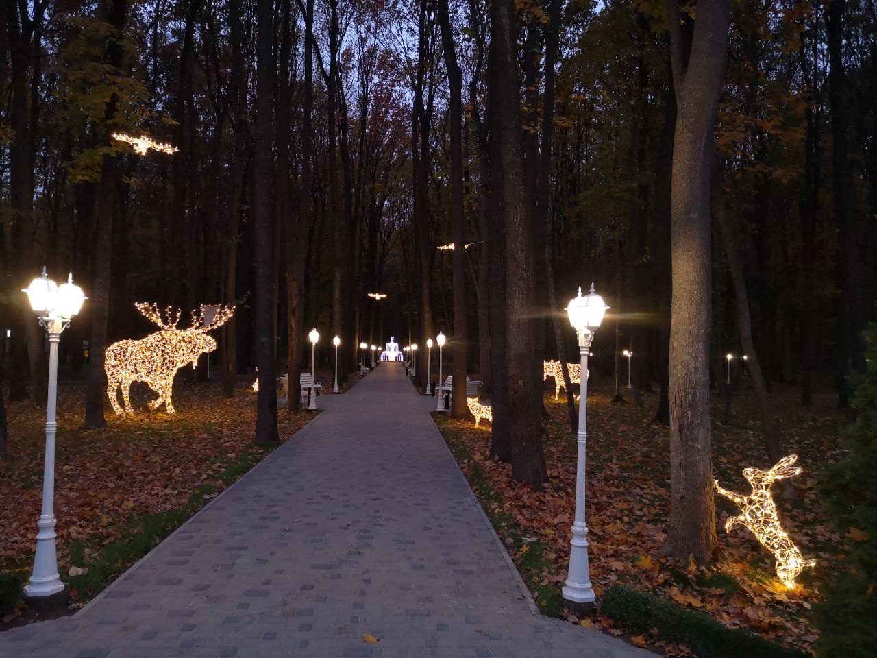 Figuri de animale LED — vedere 12