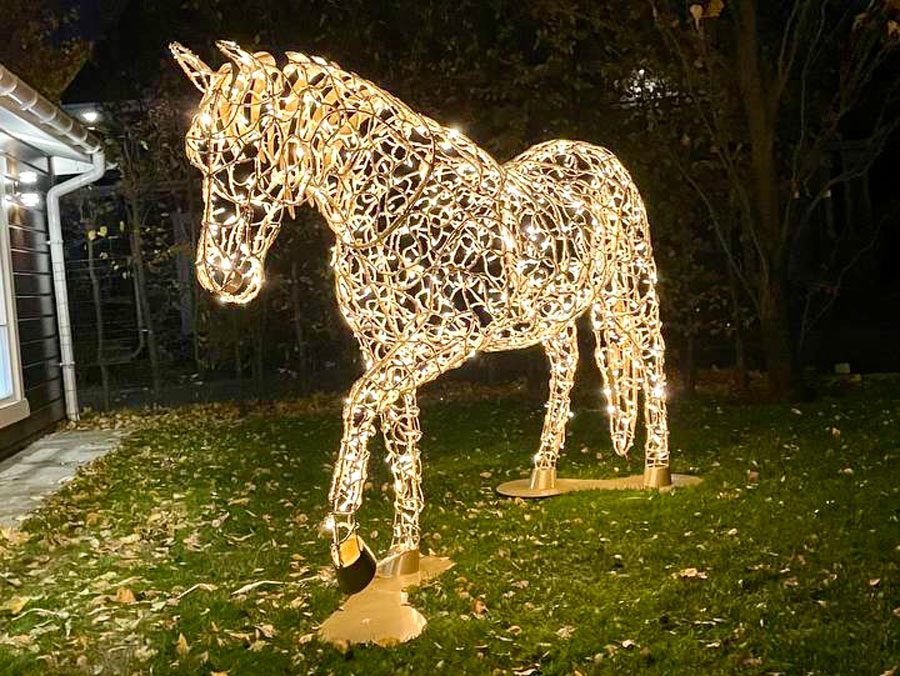 Figuri de animale LED — vedere 14