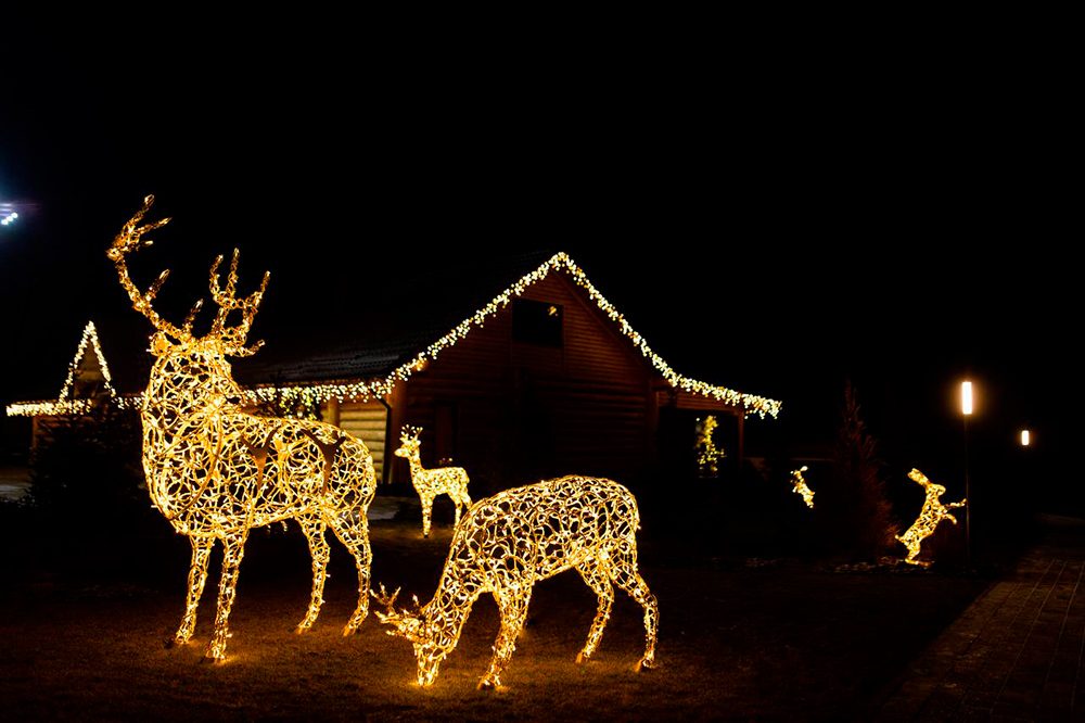 Figuri de animale LED — vedere 3