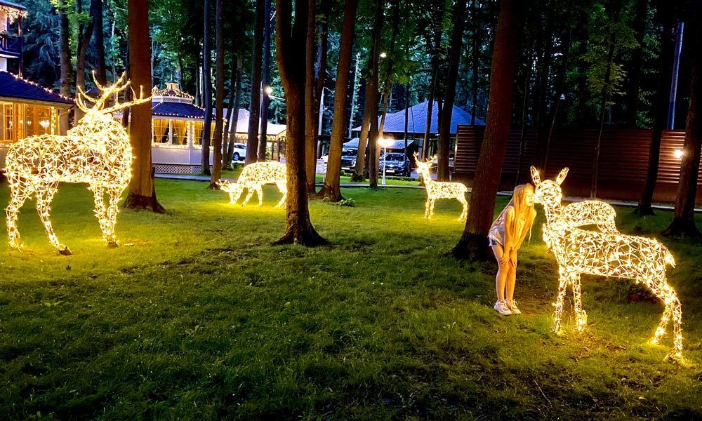 Figuri de animale LED — vedere 6