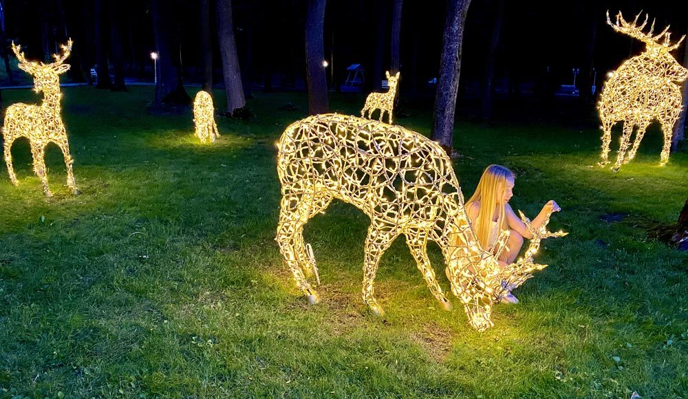 Figuri de animale LED — vedere 5