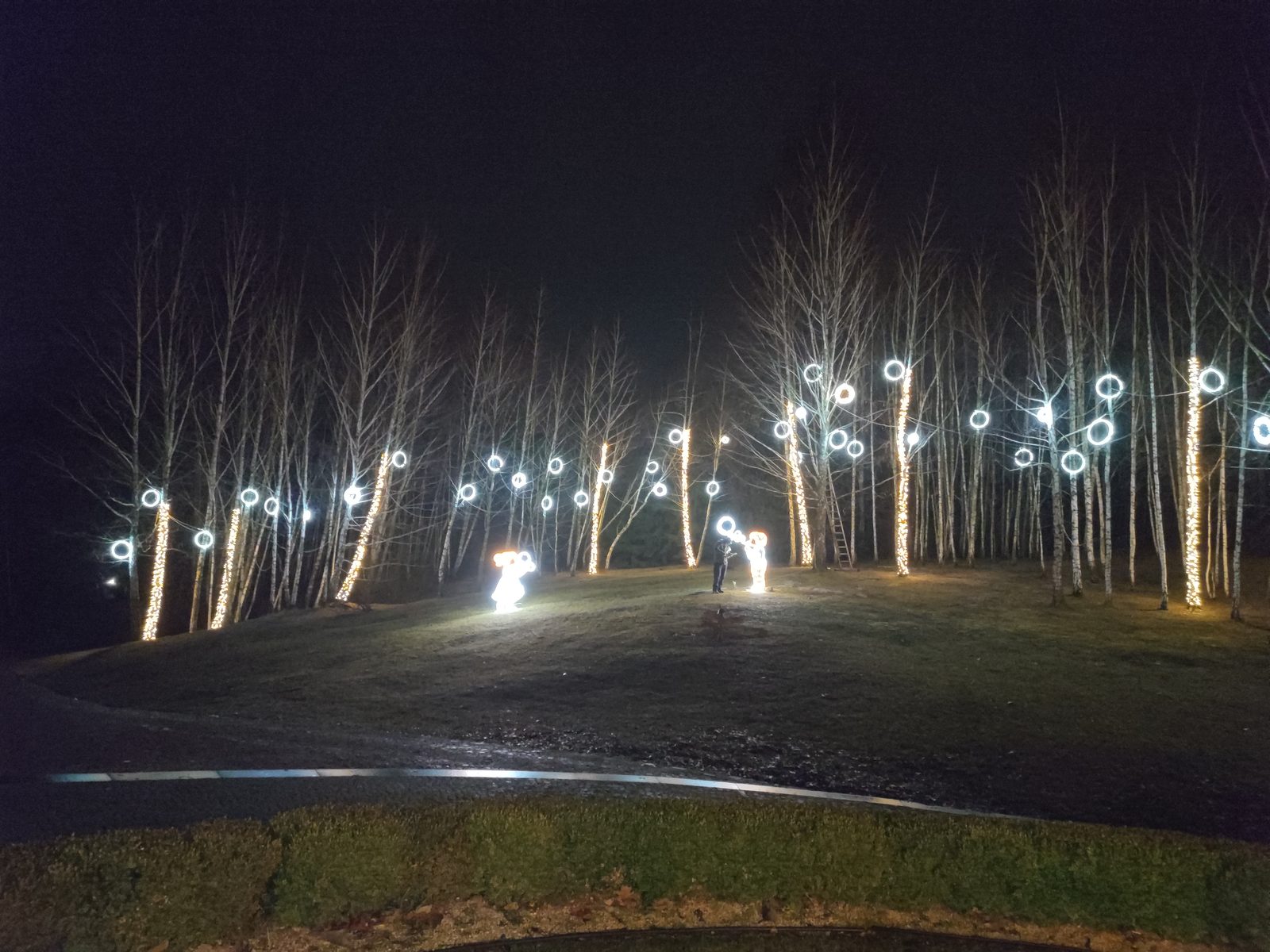 Construcții LED pentru parc — vedere 7